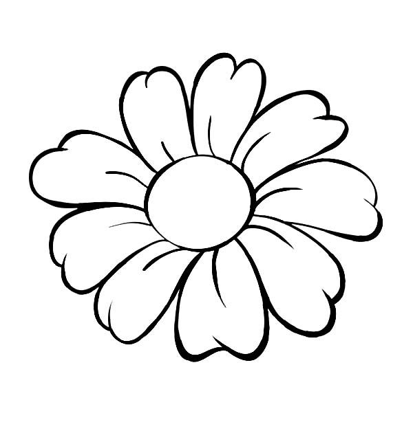 Daisy flower outline coloring page daisy flower outline coloring simple flower drawing flower pattern drawing cartoon flowers