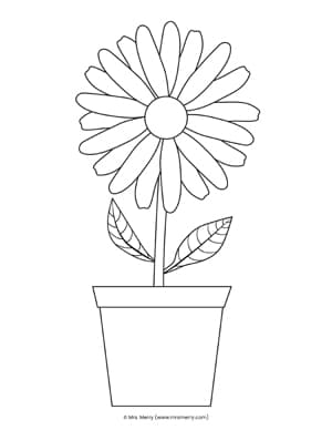 Free daisy flower printable template mrs merry