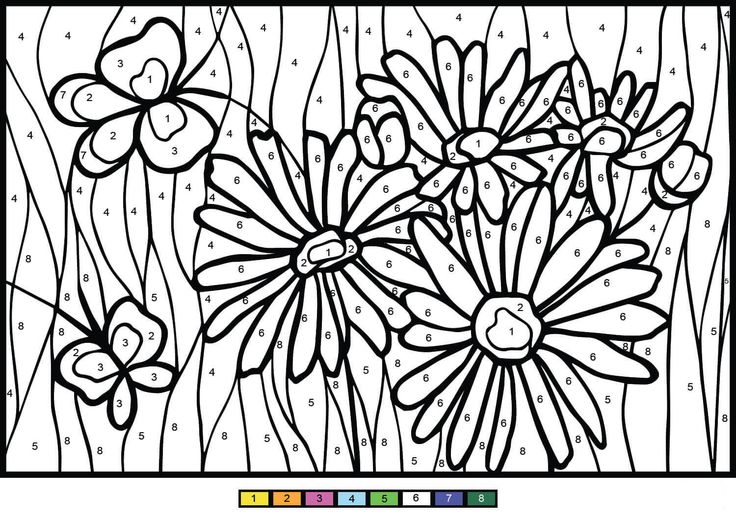 Daisy color by number coloring pages cool coloring pages free printable coloring pages