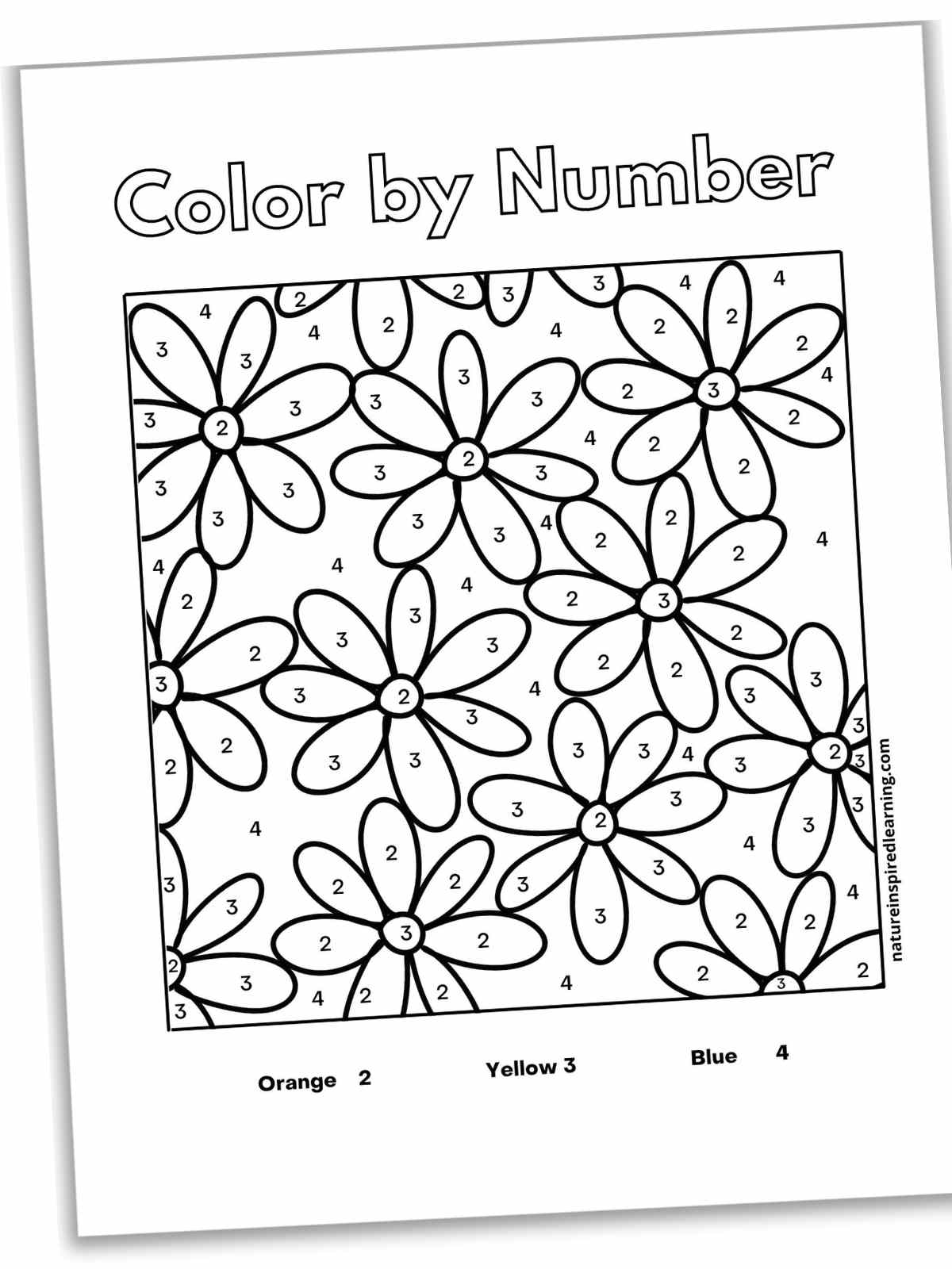 Flower color by number