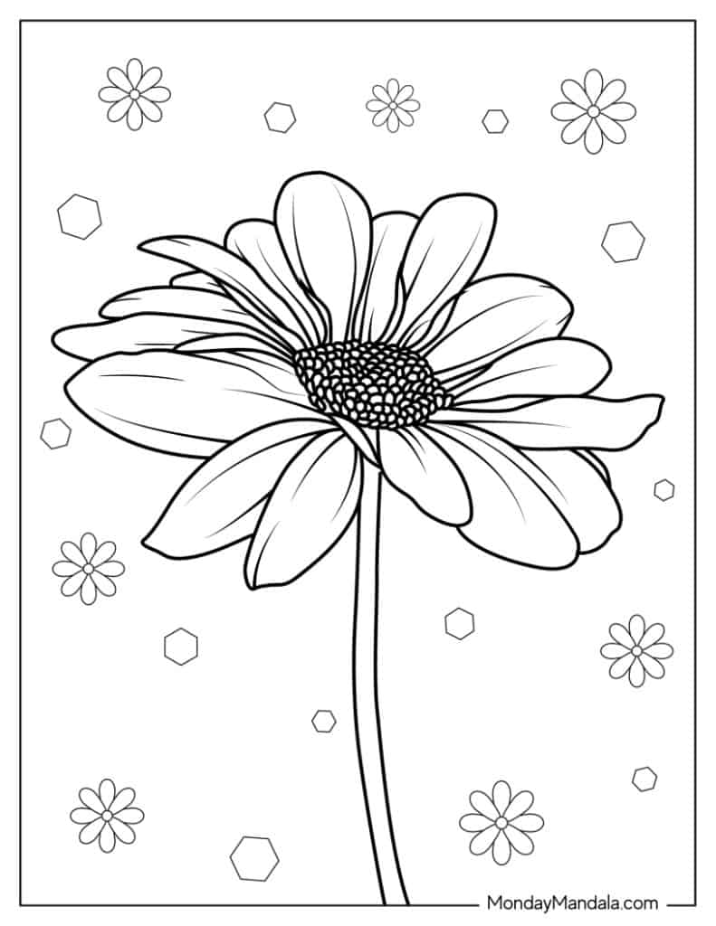 Daisy coloring pages free pdf printables