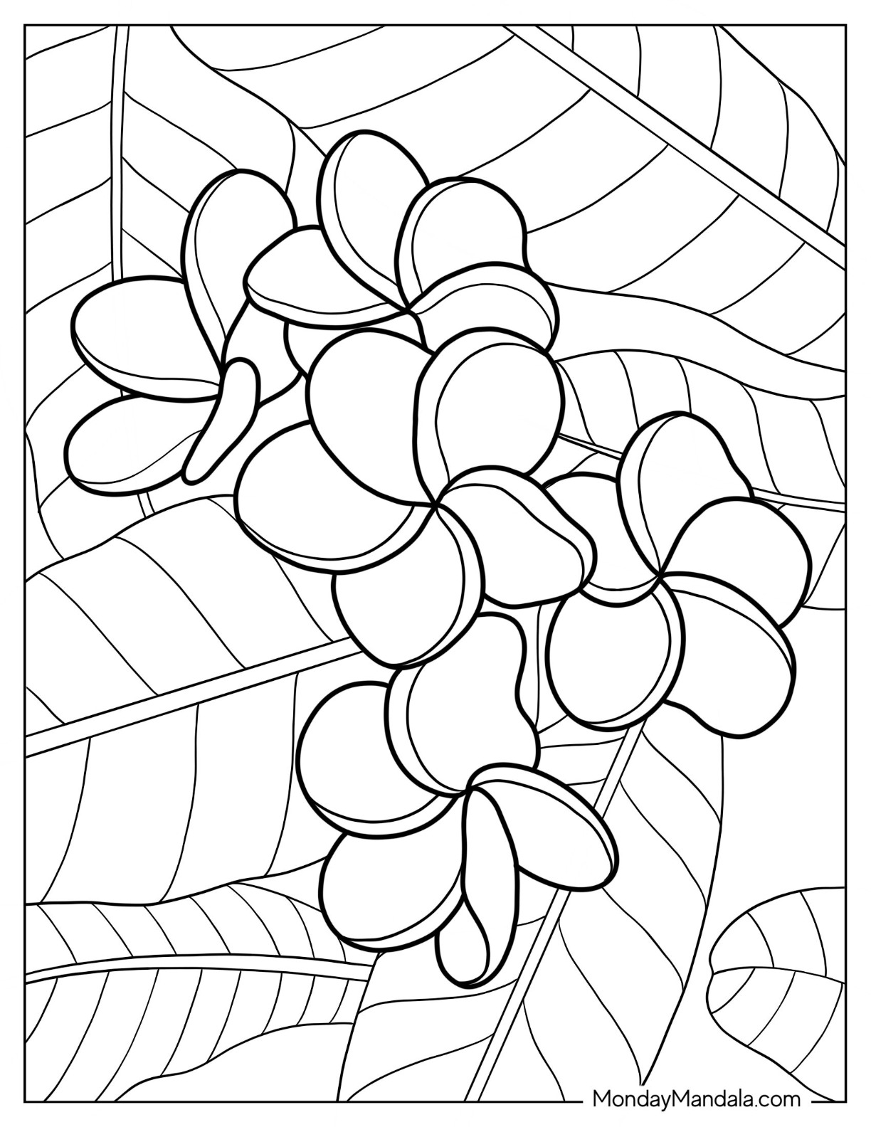 Flower coloring pages free pdf printables