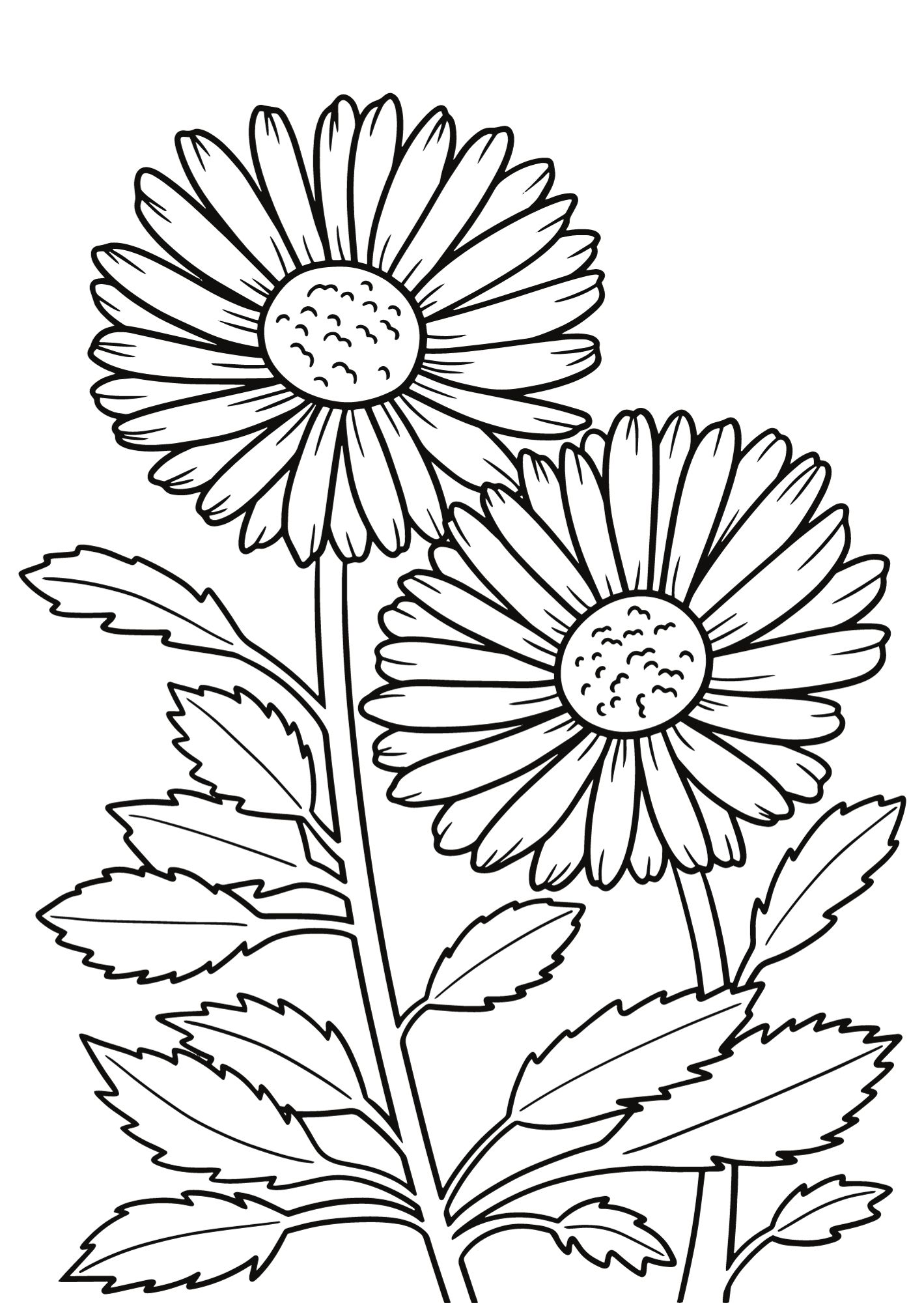 Flower coloring pages for kids adults too â ð â