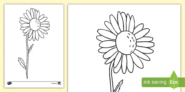 Daisy template teacher made