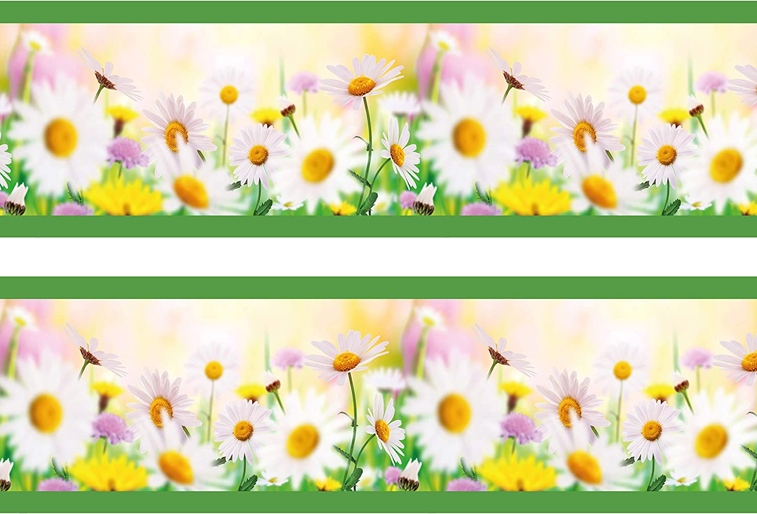 Daisy flower frame on light green background mobile phone wallpaper  illustration, premium image…