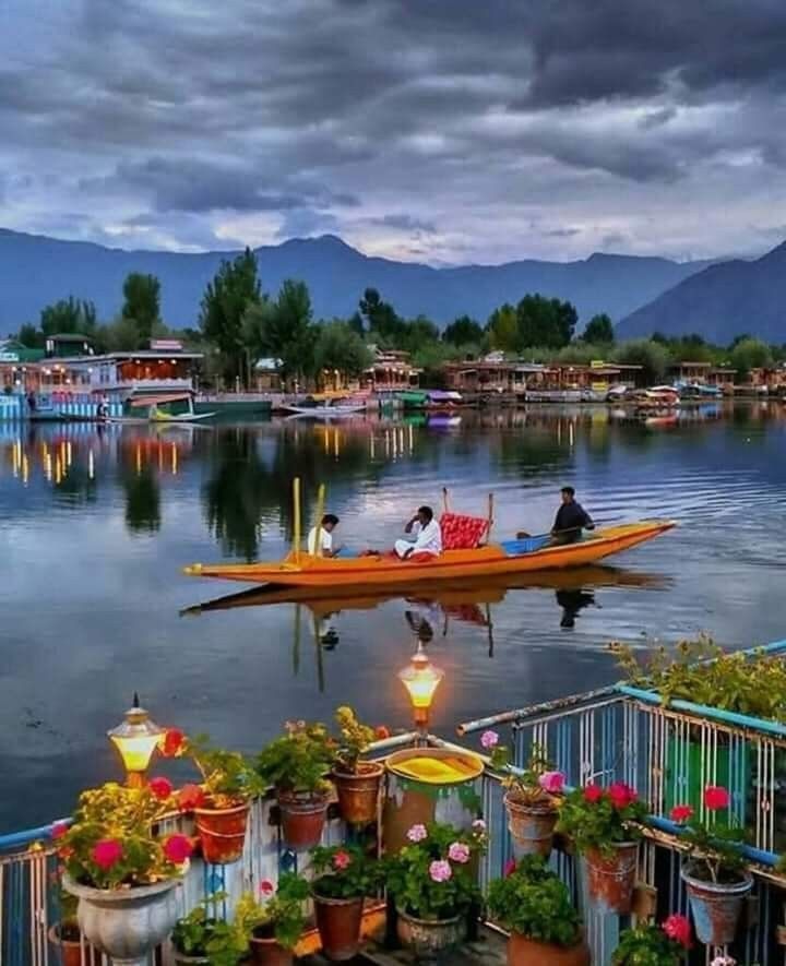 File:Dal Lake landscape reflection, Srinagar, Kashmir, India.jpg -  Wikimedia Commons