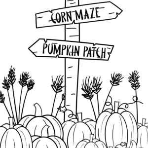 Pumpkin coloring pages printable for free download