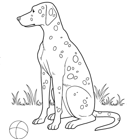 Dalmatian coloring page free printable coloring pages