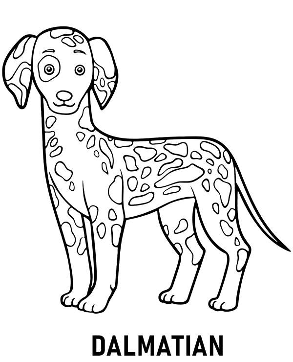 Printable dalmatian coloring page dog