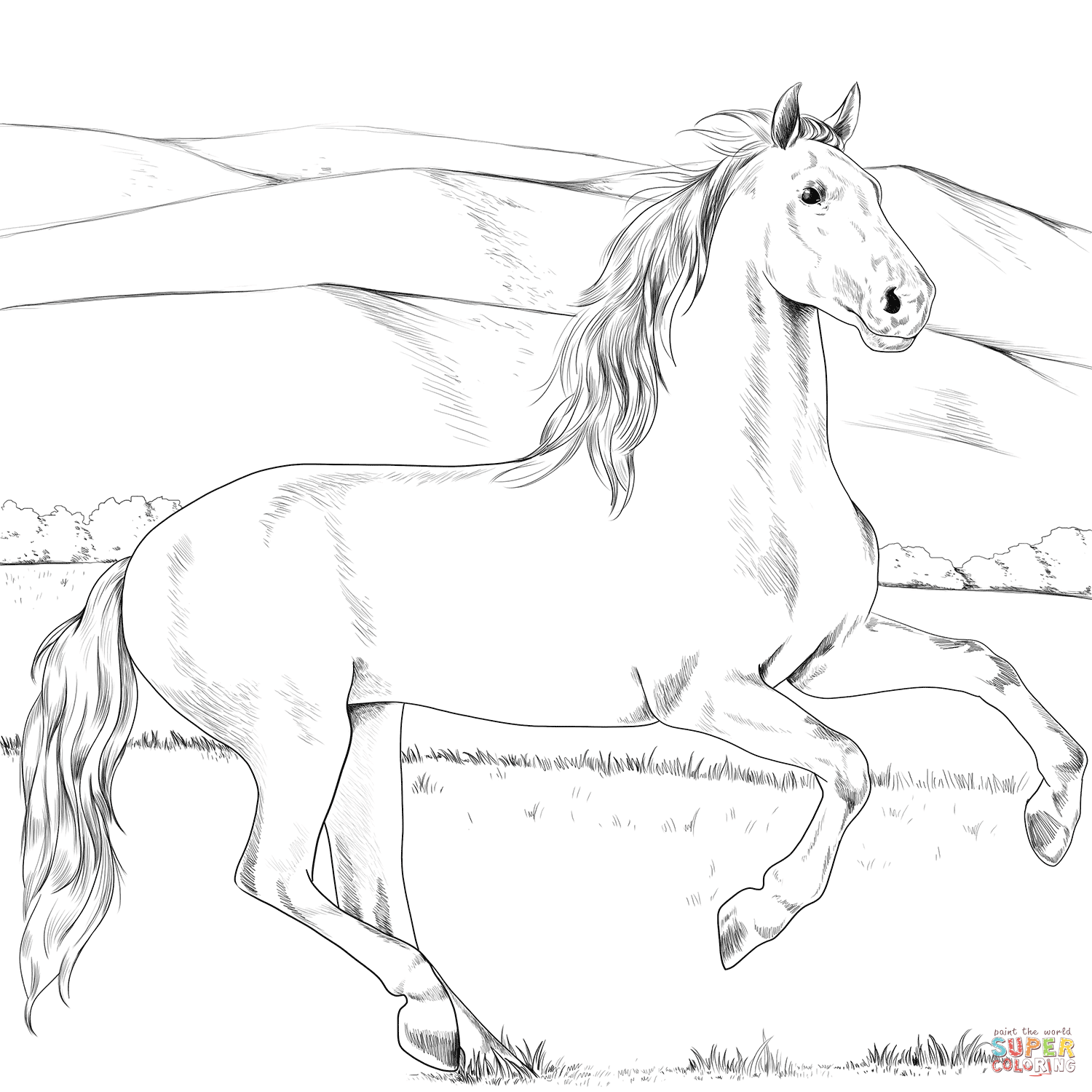 Andalusian horse coloring page free printable coloring pages