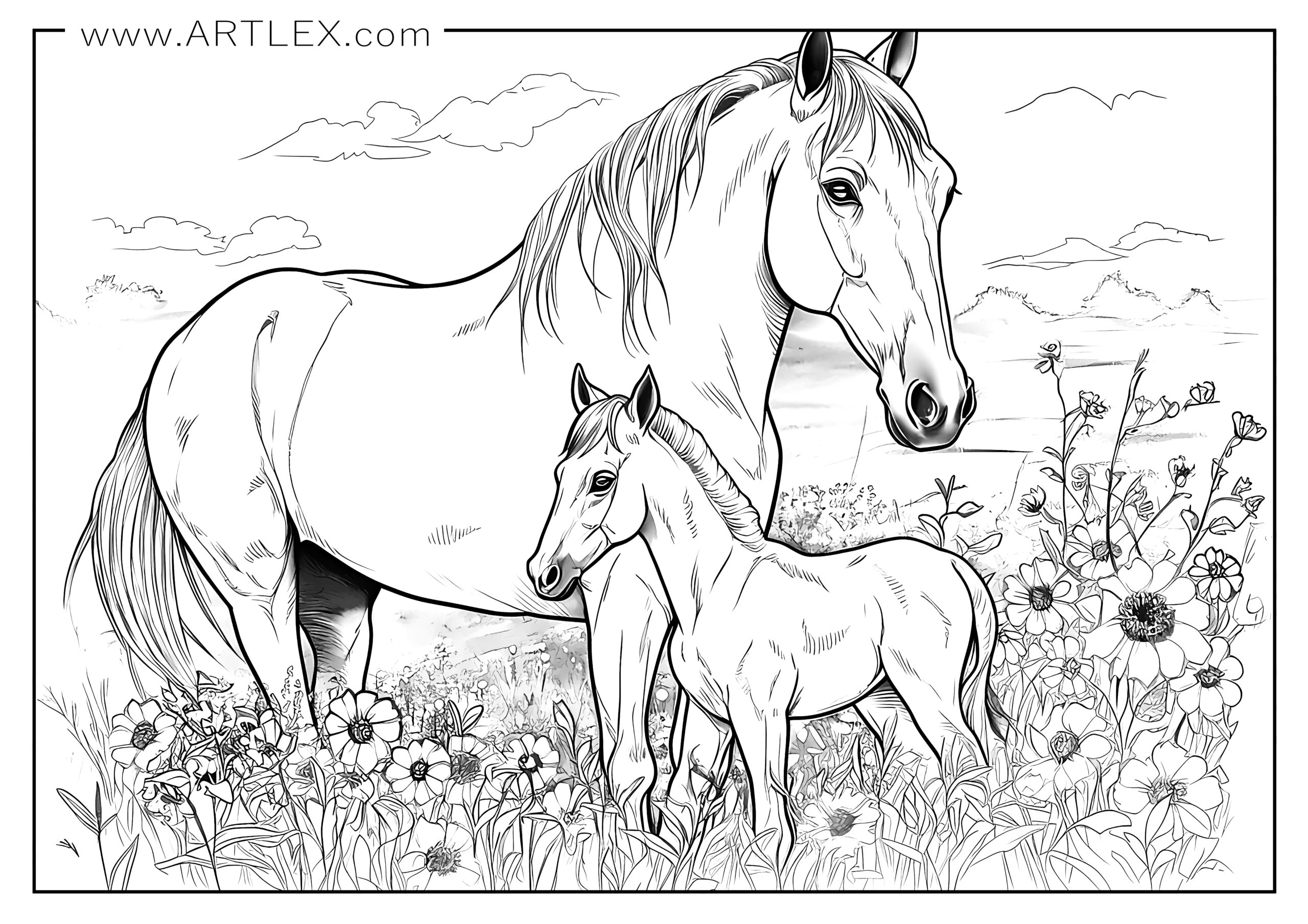 Best horses coloring pages free printable â