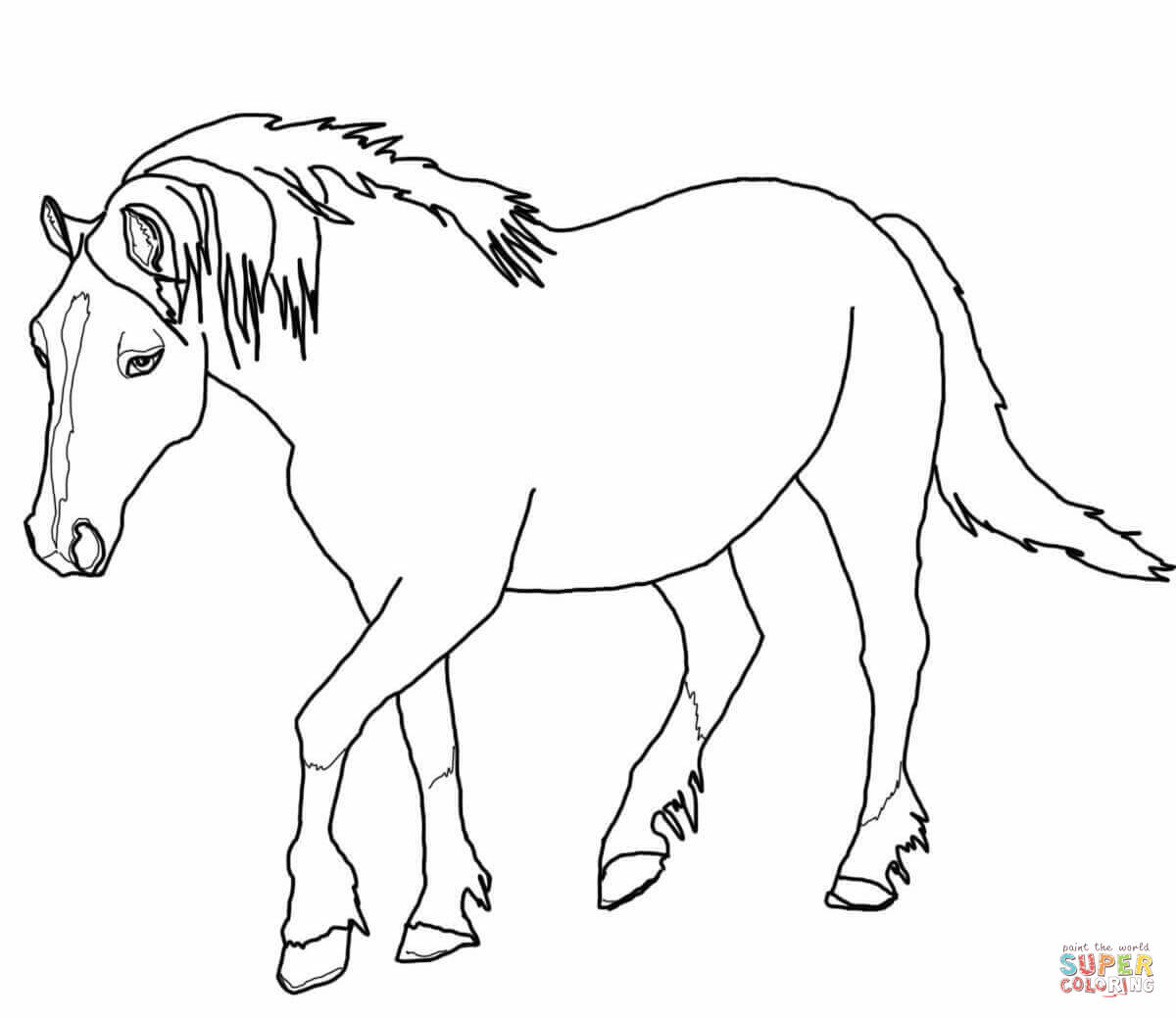 Palomino welsh horse coloring page free printable coloring pages