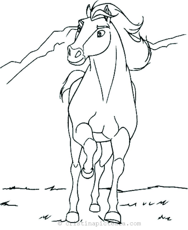 Horse coloring pages â drawing sheets with horses