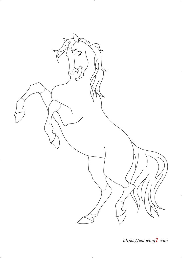 Detailed horse coloring pages