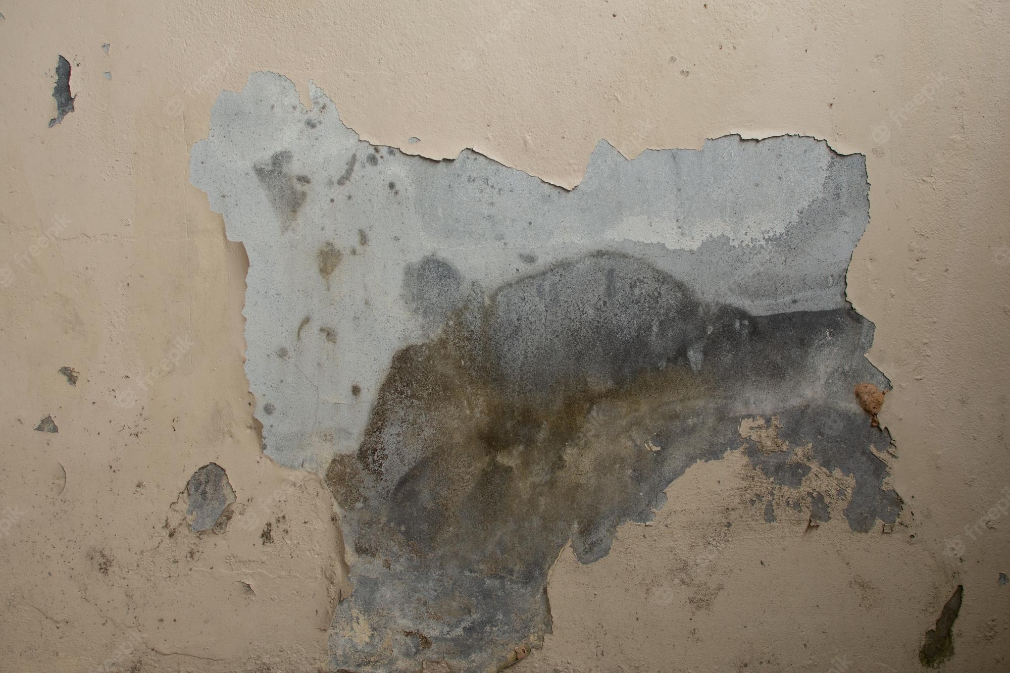 Download Free 100 + damp mould wallpaper