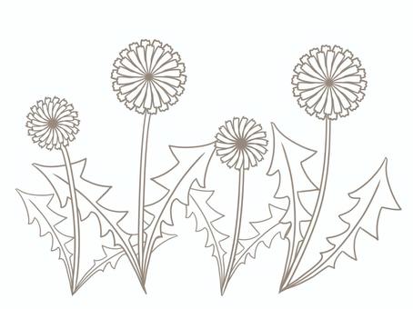 Free vectors dandelion coloring page