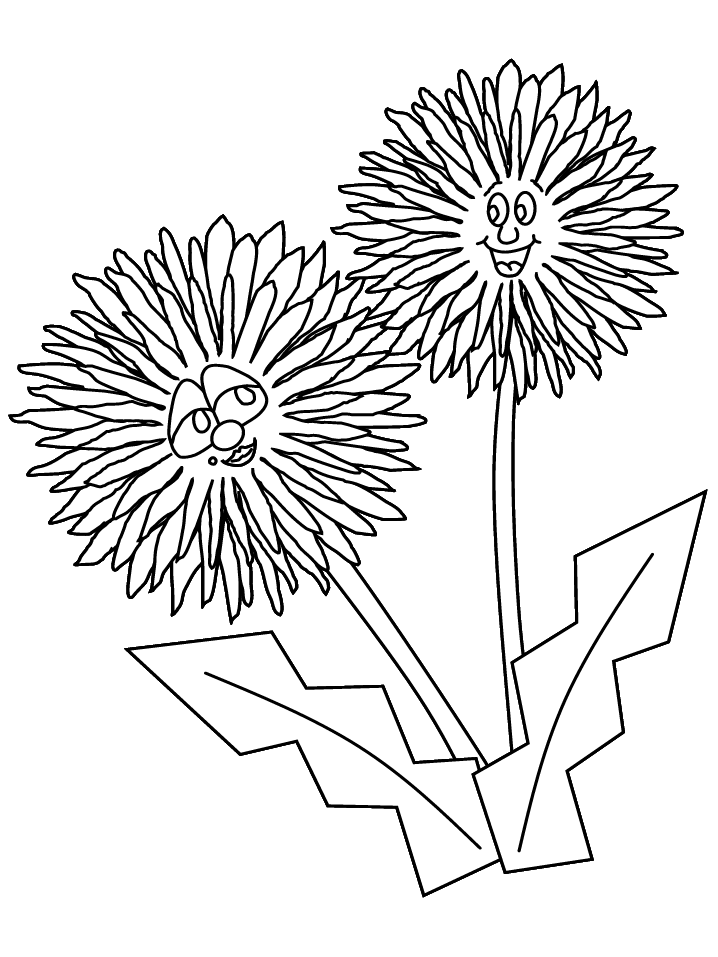 Dandelion