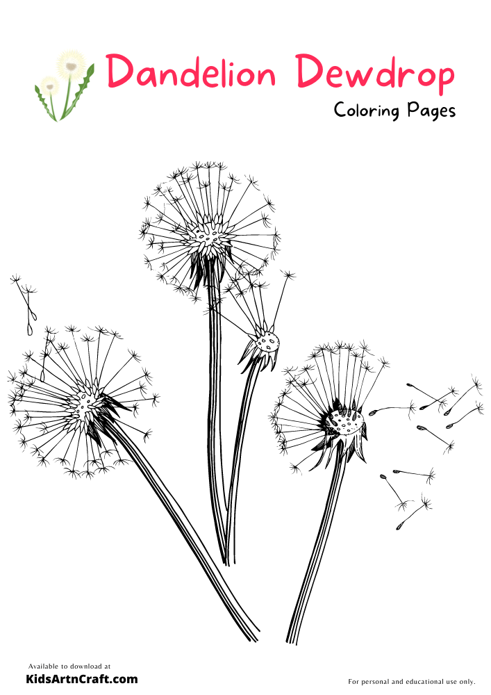 Dandelion dewdrop coloring pages for kids â free printables