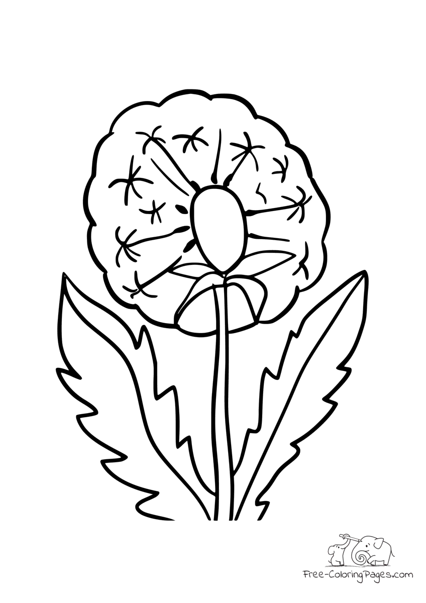 Coloring pages flowers