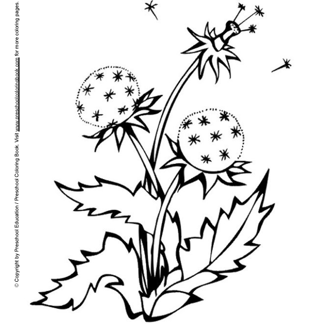 Www spring coloring page