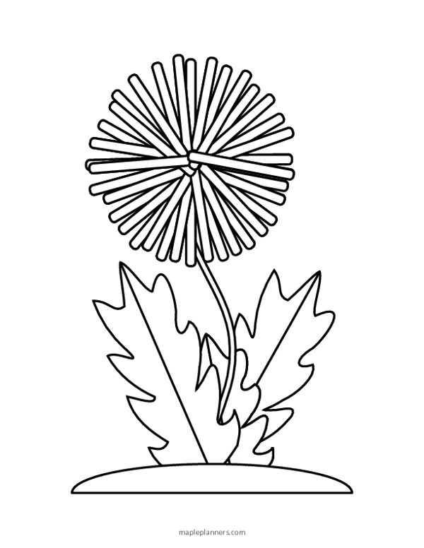 Free printable dandelion coloring pages