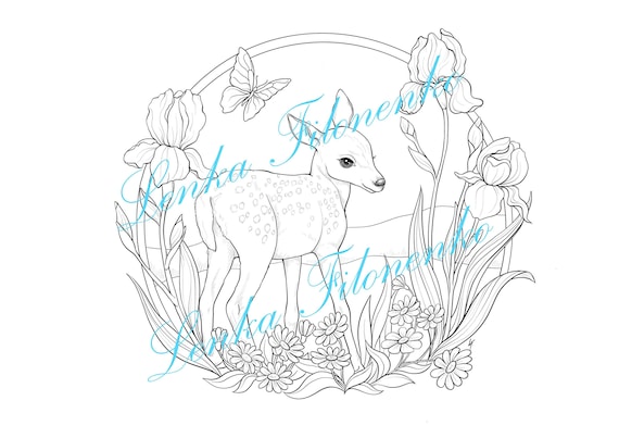 Coloring page line art cute animal coloring page baby deer pdf download and print