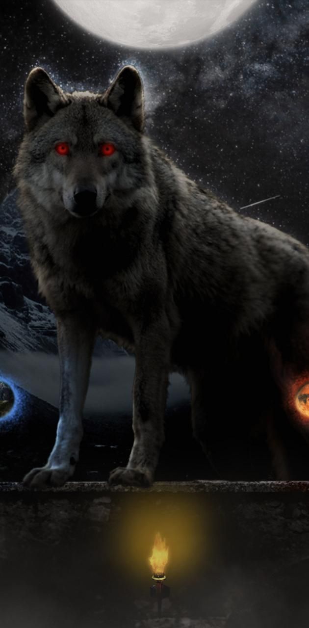 Solar system wolf wallpaper by andigitdeviantart