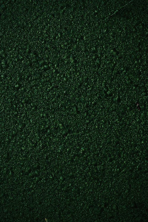 Solid Dark Green Fabric, Wallpaper and Home Decor