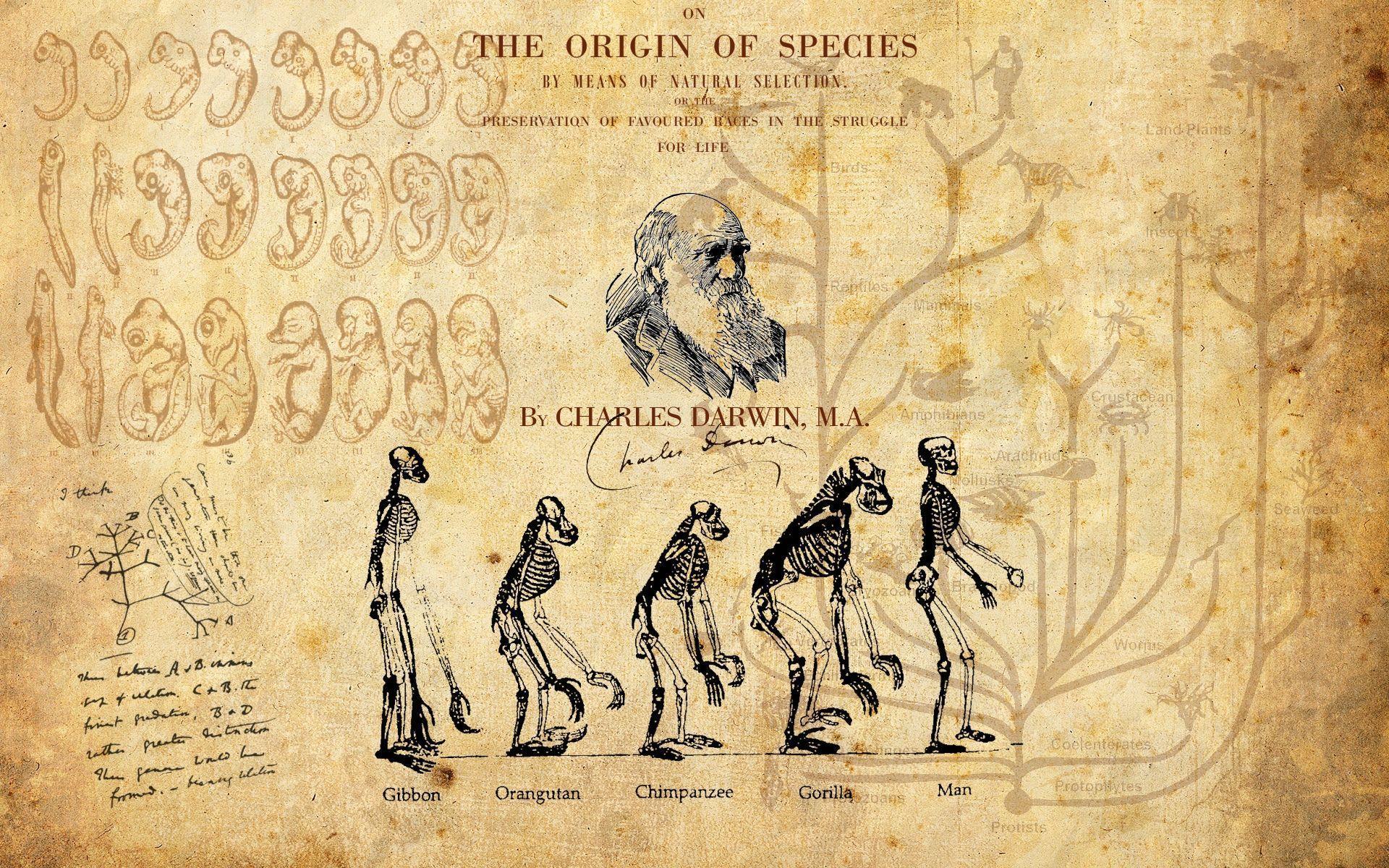 Charles darwin wallpapers