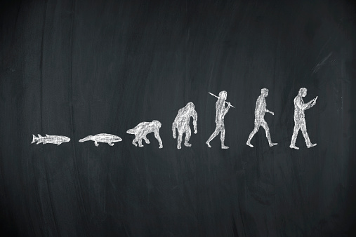 Evolution of human stock photo