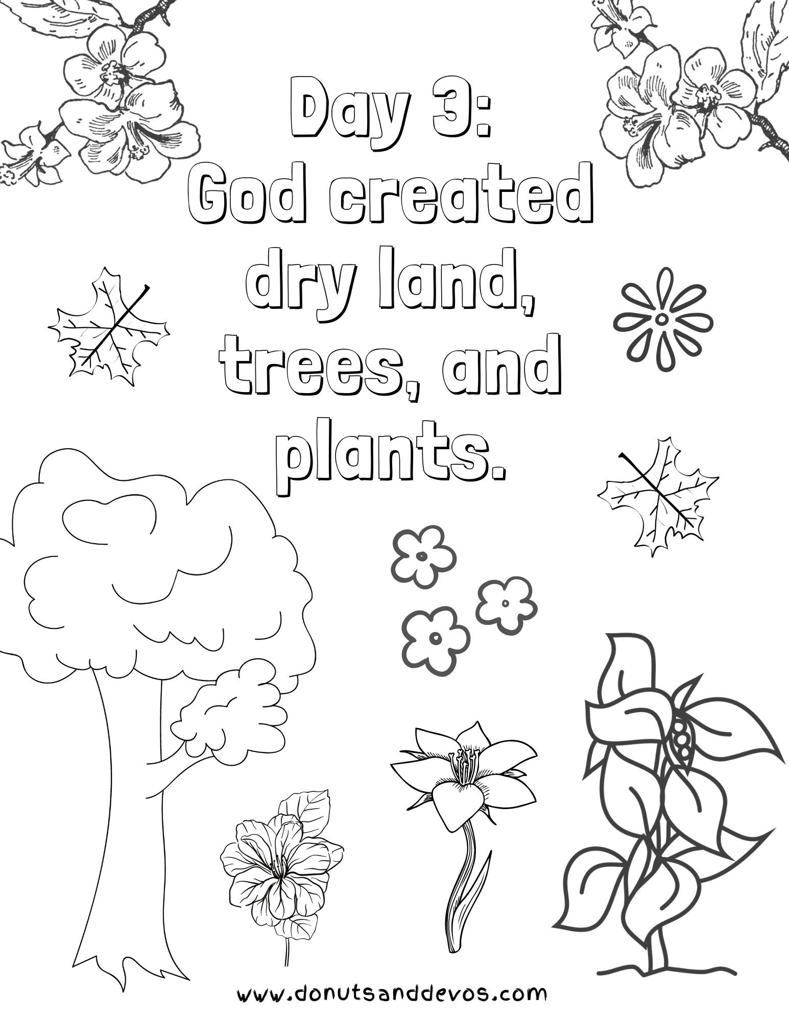 Creation coloring pages