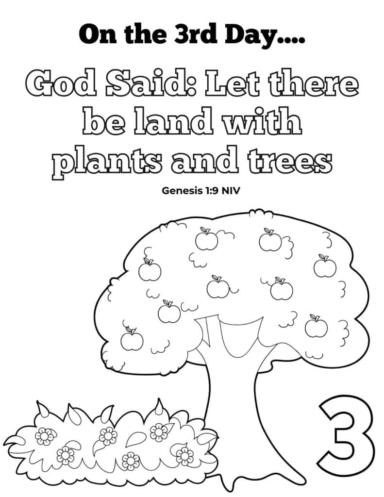 Days of creation coloring pages