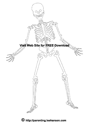 Skeleton coloring page for halloween or day of the deadtitle meta namekeywords contentprintablecoloring pagehalloweenskeletonbones day of the deadskeleton coloringdia de los muertosskeleton coloring sheethalloween coloringcolor in