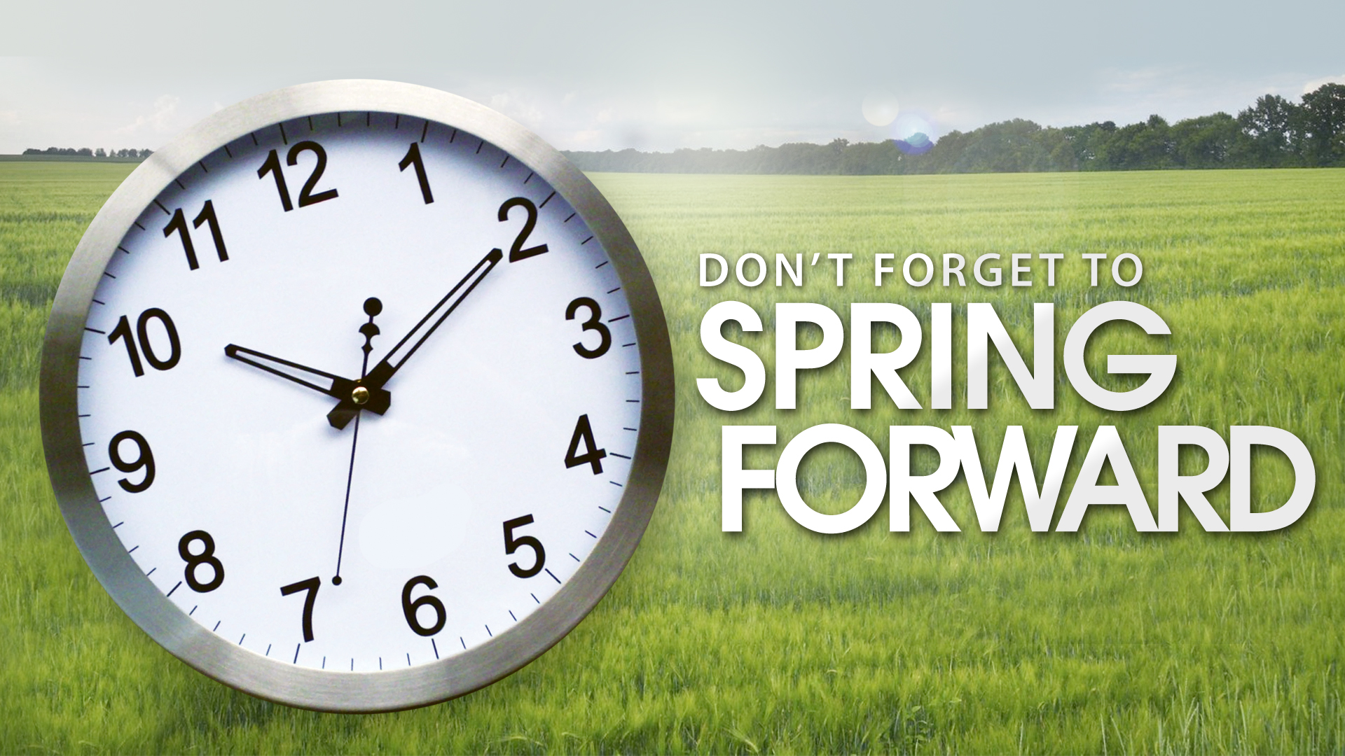 Spring forward wallpapers