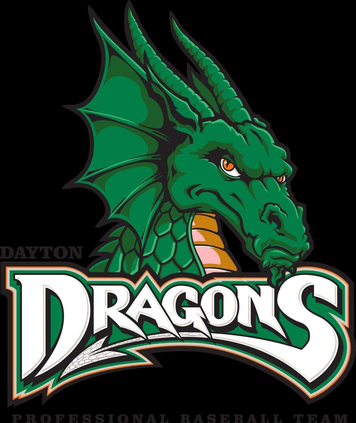 Pin by emily hollingsworth on dragons dayton dragons dragon baseball team