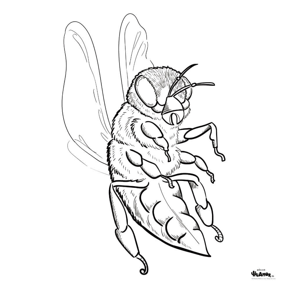 Coloring picture bee biene abeja â