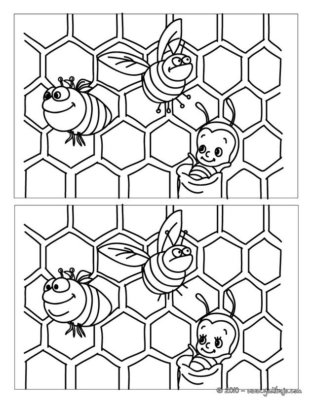 Fichas diferencias abejas infantil