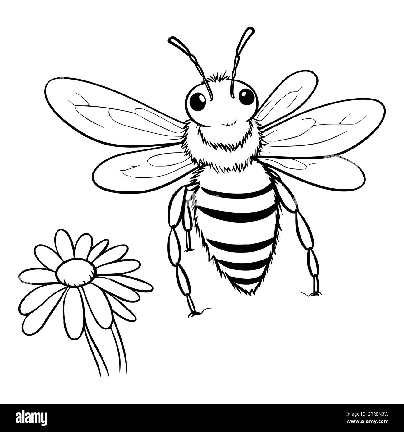 Abeja para colorear fotografãas e imãgen de alta roluciãn