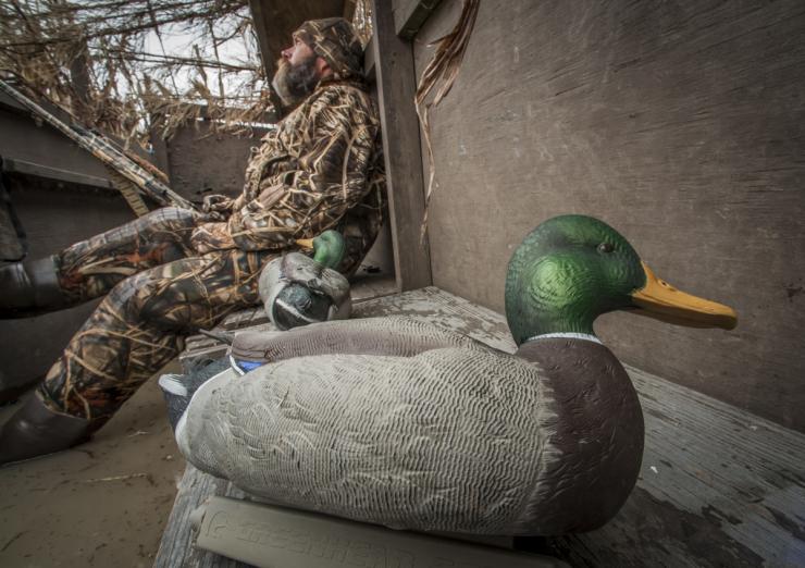 The abcs of duck and goose decoys