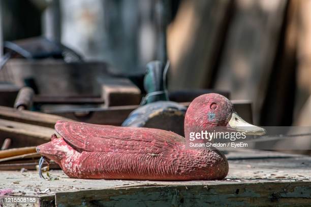 Antique duck decoys photos and premium high res pictures