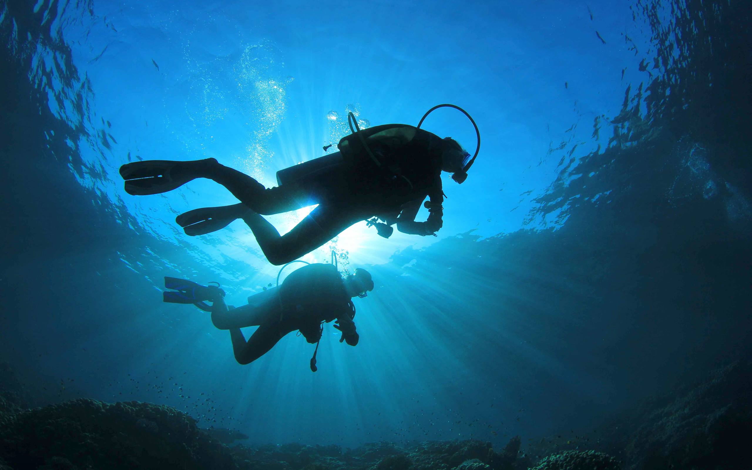 Deep sea diving wallpapers