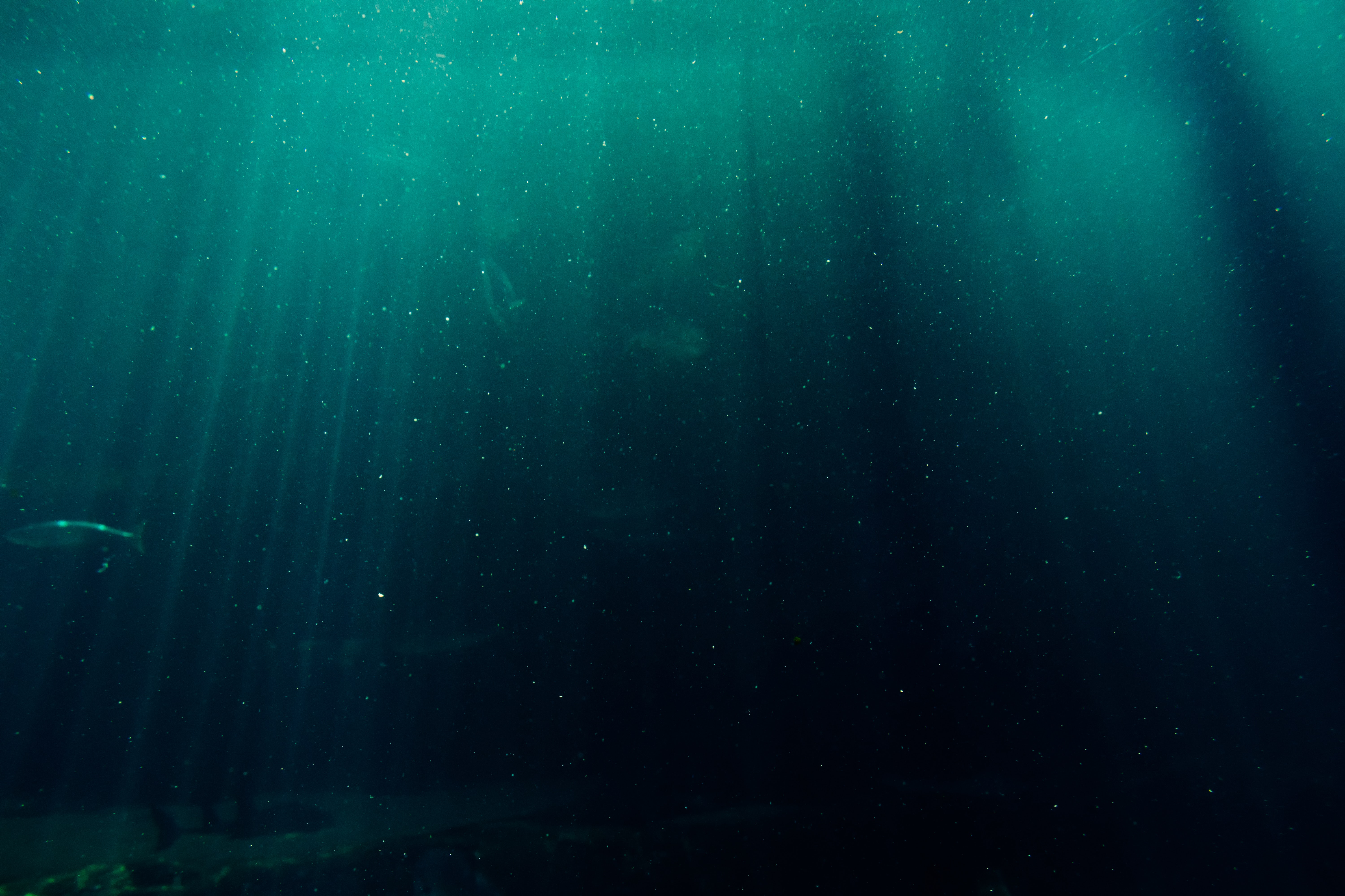 Deep ocean photos download free deep ocean stock photos hd images