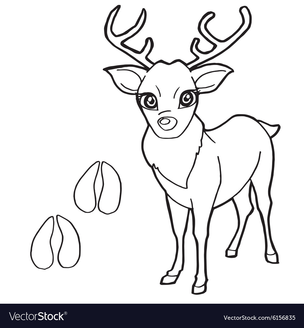 Paw print with deer coloring pages royalty free vector image