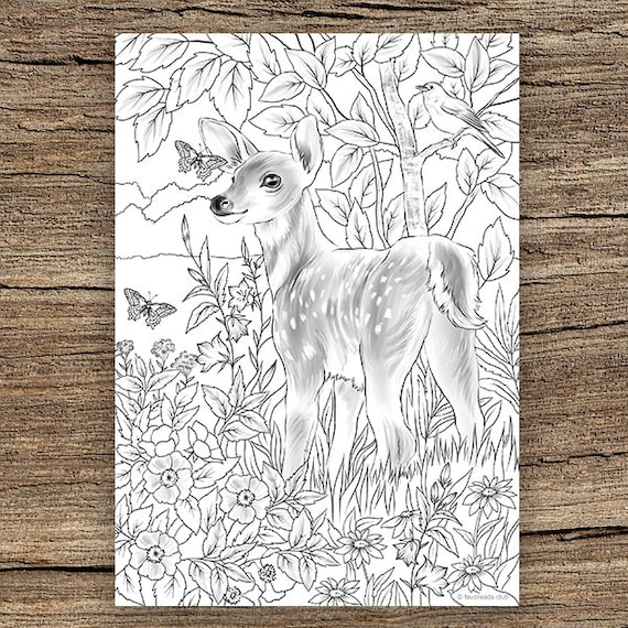 Baby deer printable adult coloring page from favoreads coloring book pages for adults and kids coloring sheets coloring designs