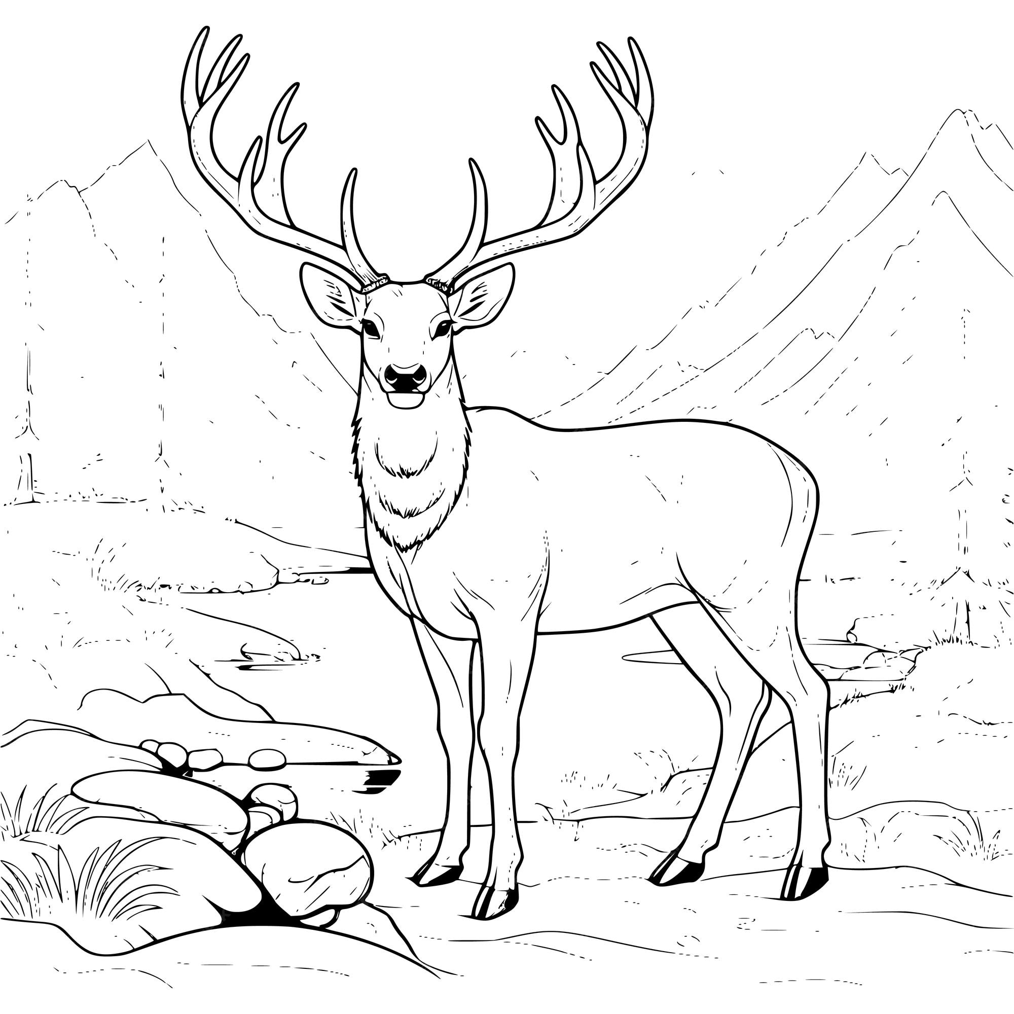 Premium vector big deer on the river bank coloring page drawing for kids