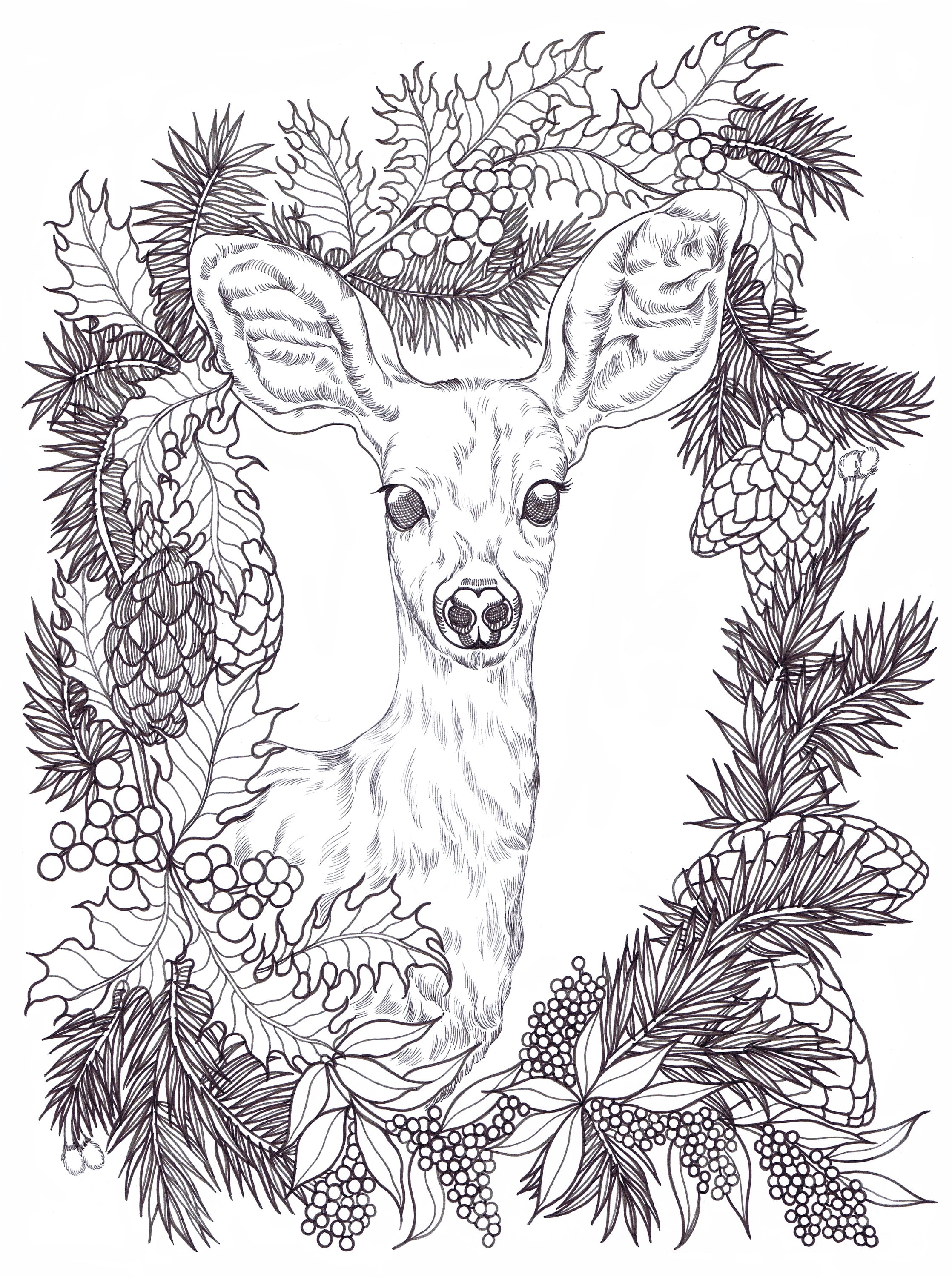 Happy holidays deer printable coloring pages from binna kim art animal drawing christmas coloring designs coloring