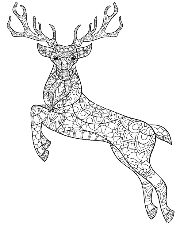 Deer stag printable colouring pages for adults