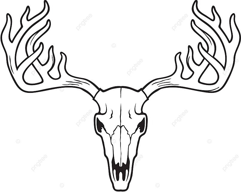 Deer skull black and white trophy reindeer vector vector trophy reindeer vector png and vector with transparent background for free download