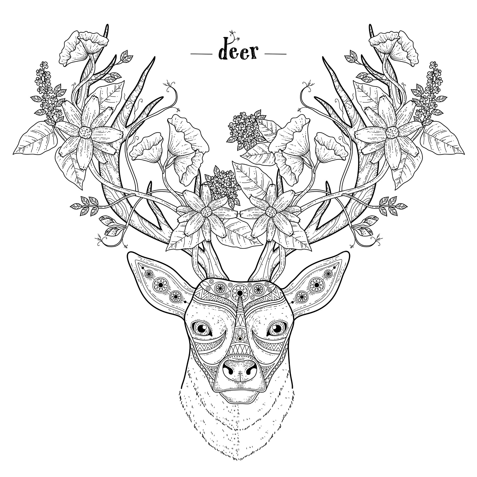 Premium vector elegant deer head coloring page in exquisite style