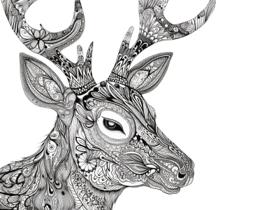 Printable deer pages